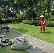 半岛体育APP-开拓者队员