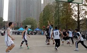 半岛体育官方网站-黄金球阵容